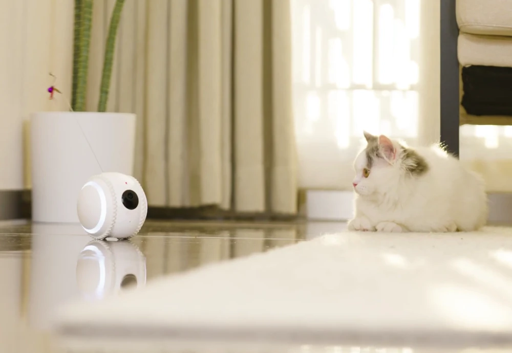 best indoor cameras for pets