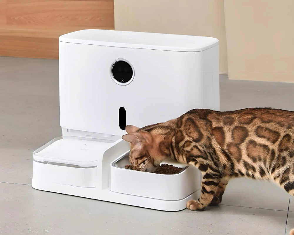 automatic cat feeder with camera